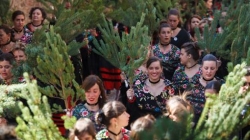 Las cinco mejores fiestas patronales de la Comunidad