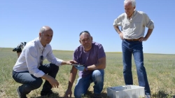 La Junta «intensifica» los controles ante el «riesgo» de expansión de los topillos