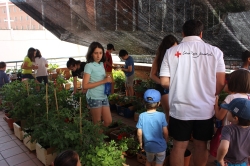 Más de 500 jóvenes realizan voluntariado en  Cruz Roja Juventud en Valladolid