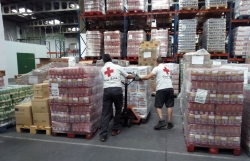 Cruz Roja en Valladolid concluye la distribución de casi 230.000 kilos de alimentos entre más de  9.000 personas
