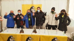 Pingüinos 2023 en Valladolid