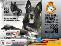 XXVII Copa en España de Trabajo para Perros de Utilidad de la RSCE y Selectivo FCI
