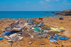 Ecologistas en Acción coloca 48 banderas negras en el litoral por vertidos, desarrollos urbanísticos y a la peor playa canina