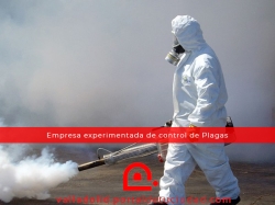 La importancia de contratar una empresa de control de plagas con experiencia