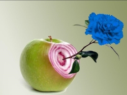 El Museo de la Ciencia de Valladolid pone en marcha el XVI ciclo de conferencias ‘Increíble… pero falso’