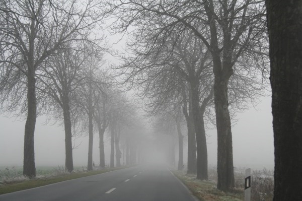 Los bancos de niebla merman la visibilidad en 26 puntos de las carreteras de la Comunidad