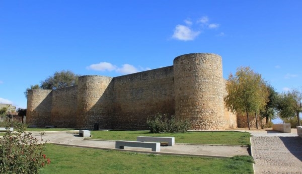 EL ALCÁZAR DE TORO, RETIRADO DE LA LISTA ROJA DEL PATRIMONIO