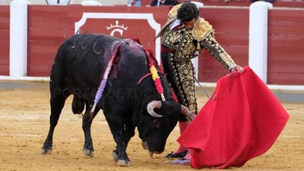 Valladolid reanuda este viernes su feria tras el emotivo homenaje a Víctor Barrio