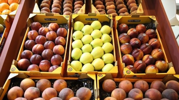 CyL recibe del Gobierno más de 1,6 millones de kilos de alimentos en el Programa de Ayuda a Desfavorecidos