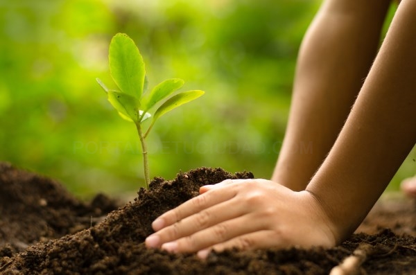 Ideas para generar menos impacto medioambiental en tu día a día