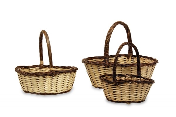 La recolección de setas, una forma de conocimiento del entorno