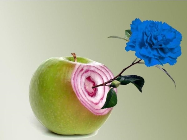 El Museo de la Ciencia de Valladolid pone en marcha el XVI ciclo de conferencias ‘Increíble… pero falso’