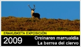 Exposición temporal: La berrea del ciervo