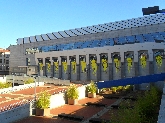 Instinto Cuco, Juan López
