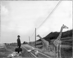 Exposición fotográfica "Caminos de Hierro"