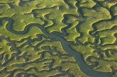 'Armonía fractal de Doñana y las Marismas'