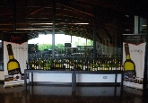 Bodega Señorío de Astobiza