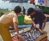 La tasa de paro alcanza el 10,7% en el primer trimestre de 2011 en Euskadi