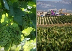 La Diputación alavesa trabaja en la conexión de Ayala con Rioja Alavesa en materia de turismo