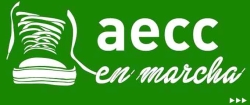 La AECC ha financiado 470 proyectos de investigación sobre el Cáncer en los últimos diez años