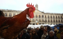 Hoy jueves se celebra la 60ª edición del tradicional Mercado Agrícola de Navidad