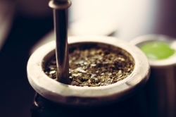 Conociendo la Yerba Mate