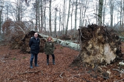 Cuatro hectáreas de la ZEC Entzia afectadas por el tornado se utilizarán para investigar sobre el cambio climático
