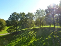 El teatro verde al aire libre de Olarizu será una realidad el 2020