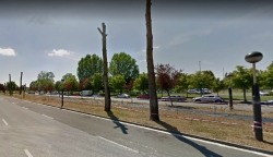 El Ayuntamiento plantará variedades autóctonas en el corredor verde del Portal de Zurbano