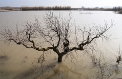 ClimAlert desarrollará una plataforma para la alerta temprana de sequías, incendios e inundaciones