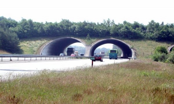 El primer ecoducto vasco se construirá en Alava/Araba