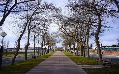 Nuevo radar para controlar la velocidad en la Avenida de San Prudencio
