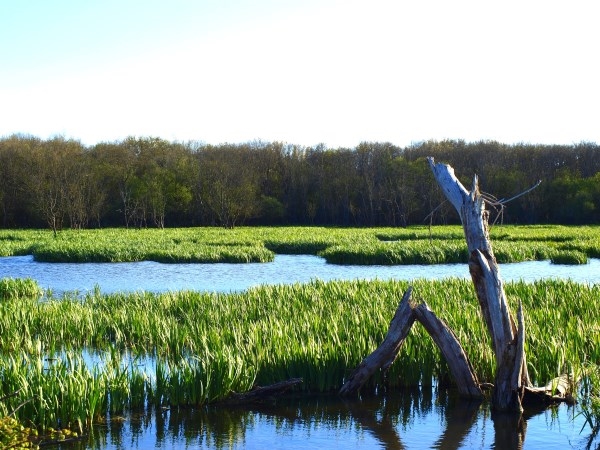 Ampliados los límites del humedal Ramsar de Salburua