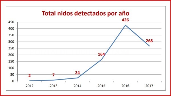 En el 2017 descendió el número de nidos de avispa asiática en Álava