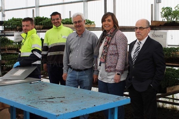 Hasta mediados de junio el Área de Jardinería de Indesa pondrá a la venta 150.000 plantas hortícolas