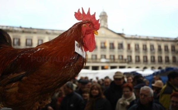 El tradicional Mercado Agrícola de Navidad celebrará este año la primera edición de ‘Plástico Cero’