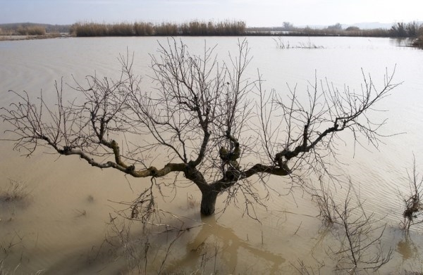 ClimAlert desarrollará una plataforma para la alerta temprana de sequías, incendios e inundaciones