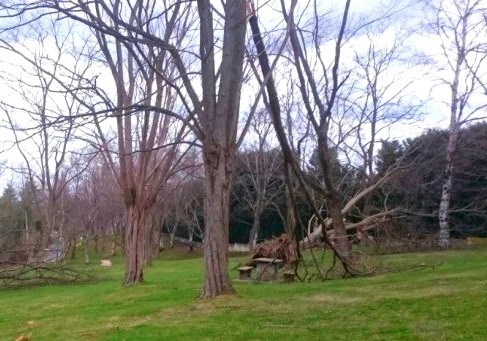 Aviso amarillo por viento desde las 21h de hoy lunes