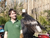 Día Internacional de las Aves Migratorias en Bioparc Valencia
