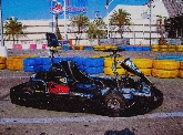 Xirivella.  Miles de personas pilotan un kart en Gran Turia.