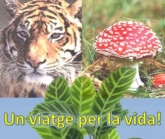 Un viaje por la vida en Valencia