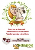 Semana Canina Internacional de Valencia