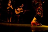 Espectáculo flamenco en Valencia