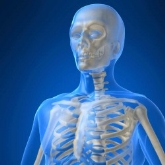 Congreso Europeo de Osteoporosis y Osteoartritis 2011 en Valencia