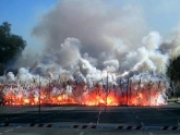 Mascletá 1 de Marzo en Valencia