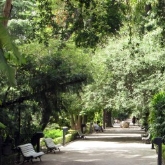 Audioguías en el Jardín Botánico en Valencia