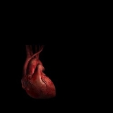 Congreso VII Reunión de Riesgo Vascular en Valencia