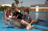 Pasaporte Animalia en el Oceanografico en Valencia