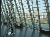 Actividades en el Museo de las Ciencias Principe Felipe en Valencia