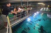 El Otro Lado del Acuario en el Oceanografico en Valencia